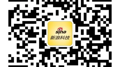 16国少队夺冠解析：锻炼成果显著，关键问题不容忽视